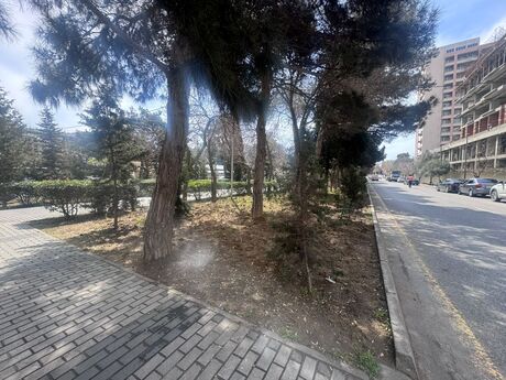 Объект - м. Кара Караев - 600 м²