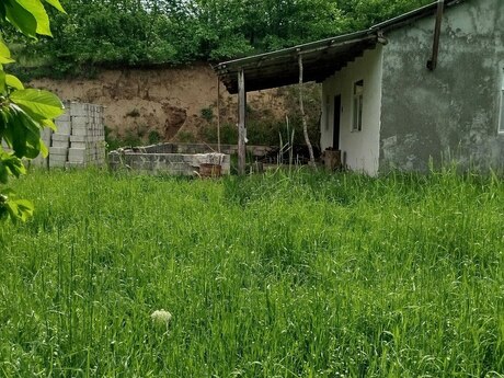 3 otaqlı həyət evi/bağ evi - Quba - 45 m²