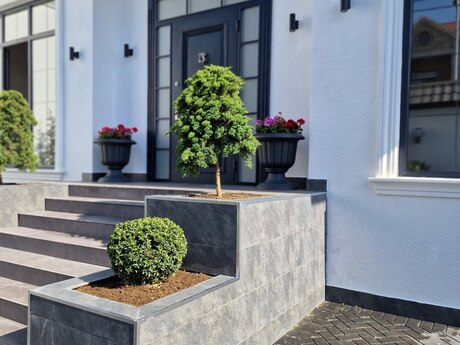 7 otaqlı həyət evi/bağ evi - Badamdar q. - 450 m²