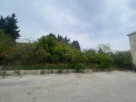 Elan №6137737 - Bakı, Buzovna q., 30000 m²