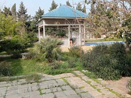 3 otaqlı həyət evi/bağ evi - Albalılıq q. - 60 m²