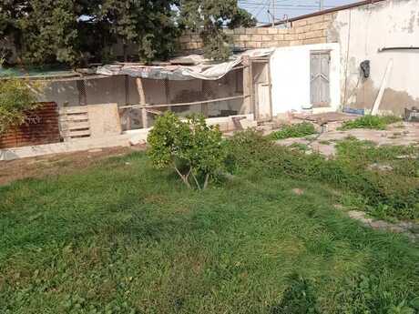 3 otaqlı həyət evi/bağ evi - Albalılıq q. - 60 m²