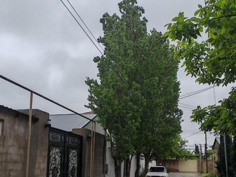 8 otaqlı həyət evi/bağ evi - Mərdəkan q. - 300 m²
