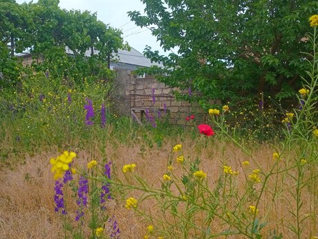 4 otaqlı həyət evi/bağ evi - Masazır q. - 100 m²