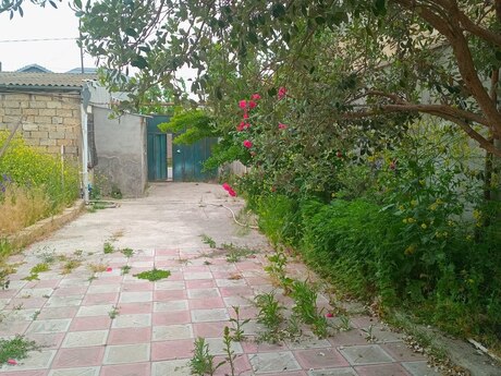 4 otaqlı həyət evi/bağ evi - Masazır q. - 100 m²
