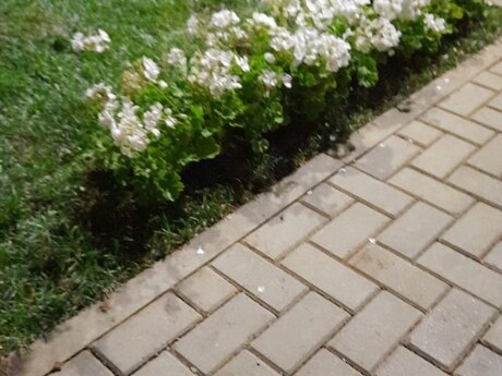 3 otaqlı köhnə tikili - İnşaatçılar m. - 95 m²