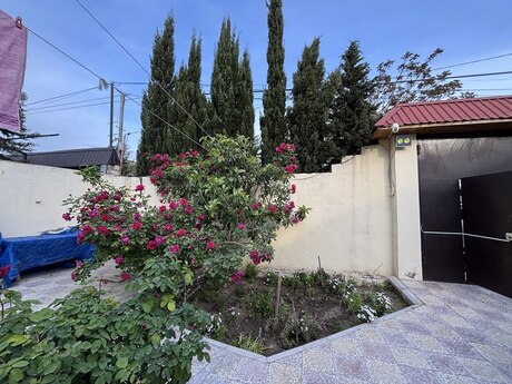 7 otaqlı həyət evi/bağ evi - Bülbülə q. - 288 m²