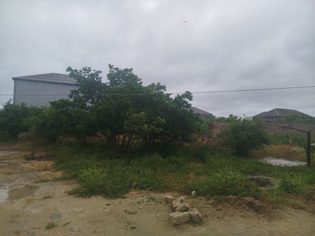 Torpaq - Hövsan q. - 5 sot