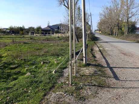 Torpaq - Şamaxı - 24 sot
