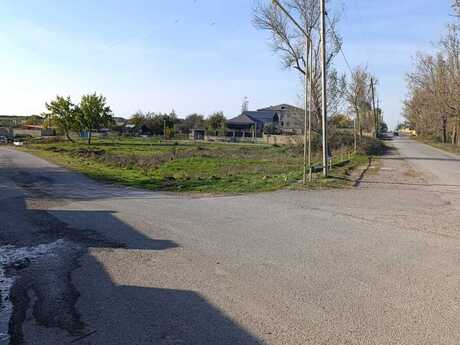 Torpaq - Şamaxı - 24 sot