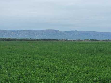 Torpaq - Ağsu - 13000 sot