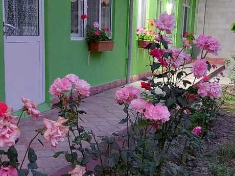 2 otaqlı həyət evi/bağ evi - Quba - 100 m²