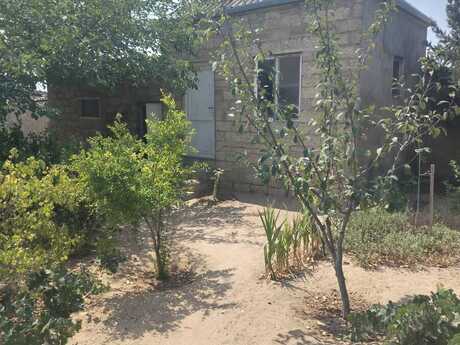3 otaqlı həyət evi/bağ evi - Qala q. - 50 m²