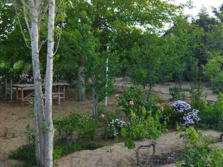 3 otaqlı həyət evi/bağ evi - Qala q. - 50 m²