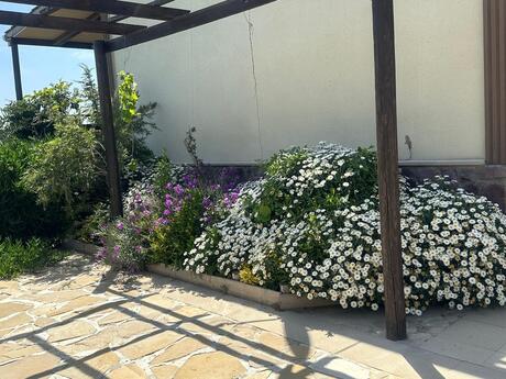 6 otaqlı həyət evi/bağ evi - Hövsan q. - 140 m²