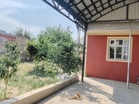 3 otaqlı həyət evi/bağ evi - Saray q. - 80 m²
