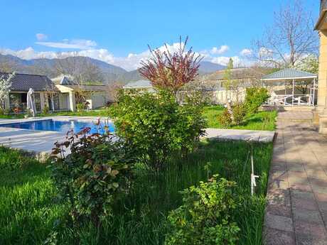 12 otaqlı həyət evi/bağ evi - Qəbələ - 280 m²