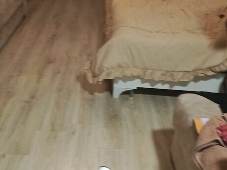 1 otaqlı yeni tikili - Elmlər Akademiyası m. - 30 m²