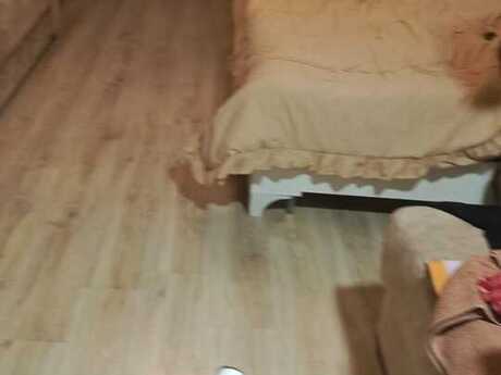 1 otaqlı yeni tikili - Elmlər Akademiyası m. - 30 m²