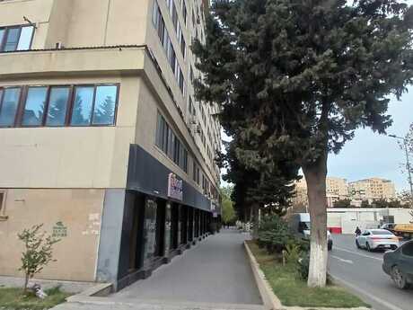 2 otaqlı köhnə tikili - Azadlıq Prospekti m. - 65 m²