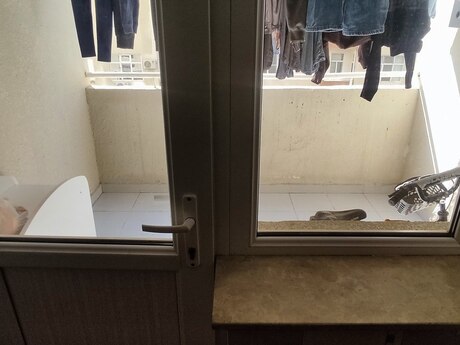 2 otaqlı yeni tikili - Lökbatan q. - 73 m²