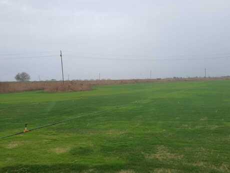 Torpaq - Qala q. - 200 sot