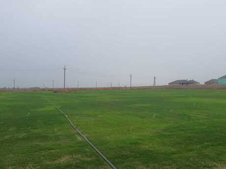 Torpaq - Qala q. - 200 sot
