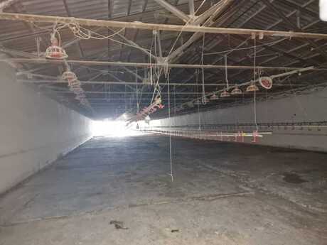 Obyekt - Mehdiabad q. - 780 m²