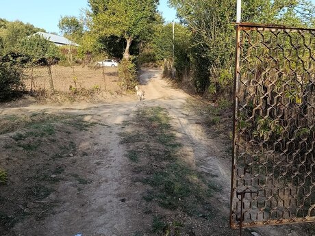 2 otaqlı həyət evi/bağ evi - Lerik - 40 m²