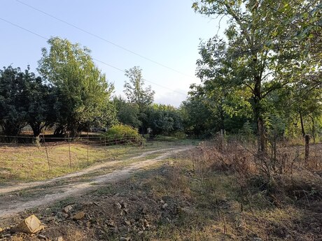 2 otaqlı həyət evi/bağ evi - Lerik - 40 m²