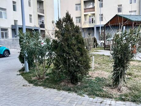 2 otaqlı yeni tikili - Yasamal q. - 60 m²