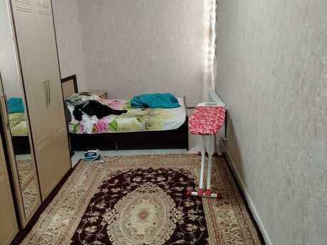 2 otaqlı yeni tikili - Xırdalan - 65 m²