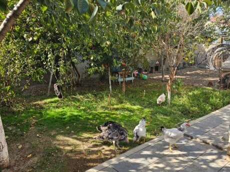 3 otaqlı həyət evi/bağ evi - Mərdəkan q. - 100 m²