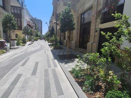 1 otaqlı köhnə tikili - Nizami m. - 29 m²
