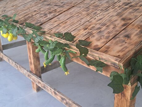 Obyekt - Qala q. - 180 m²