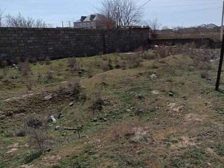 Torpaq - Balaxanı q. - 11 sot