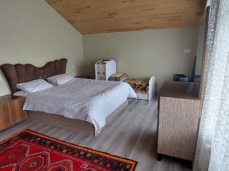 4 otaqlı həyət evi/bağ evi - İsmayıllı - 300 m²