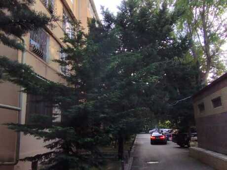 5 otaqlı köhnə tikili - Azadlıq Prospekti m. - 115 m²