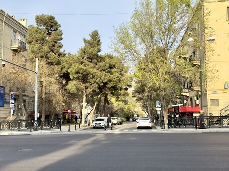 Obyekt - Elmlər Akademiyası m. - 100 m²
