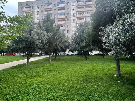 4 otaqlı köhnə tikili - Elmlər Akademiyası m. - 105 m²
