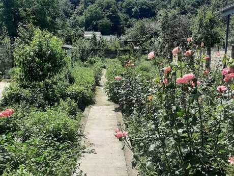 8 otaqlı həyət evi/bağ evi - Quba - 275 m²