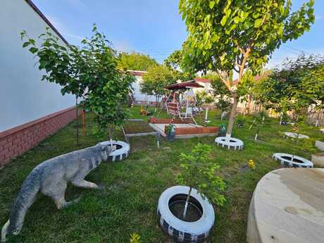 6 otaqlı həyət evi/bağ evi - Qəbələ - 250 m²