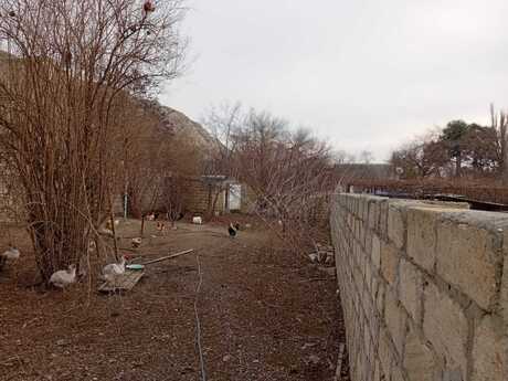 3 otaqlı həyət evi/bağ evi - Mingəçevir - 100 m²