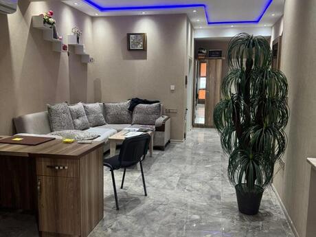 1 otaqlı yeni tikili - Sumqayıt - 44 m²