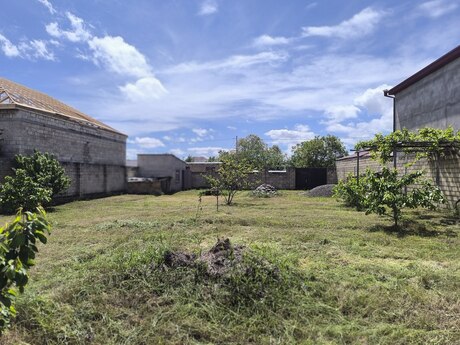 Участок - Губа - 10 сот