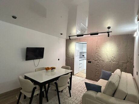 Объект - м. Элмляр Академиясы - 30 м²