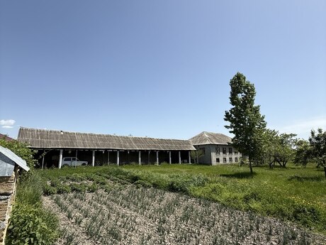 4 otaqlı həyət evi/bağ evi - İsmayıllı - 150 m²