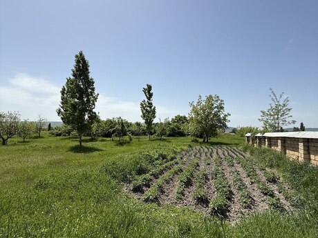 4 otaqlı həyət evi/bağ evi - İsmayıllı - 150 m²