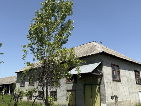 4 otaqlı həyət evi/bağ evi - İsmayıllı - 150 m²