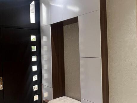 10 otaqlı həyət evi/bağ evi - Nəsimi m. - 550 m²